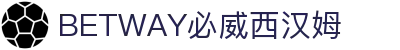 中国·必威(bw·西汉姆联)有限公司-Official website